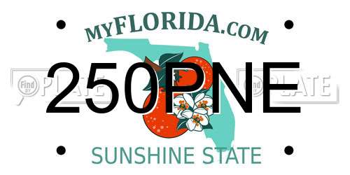 250PNE Florida License Plate