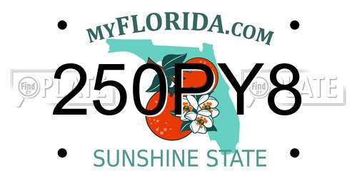 250PY8 Florida License Plate