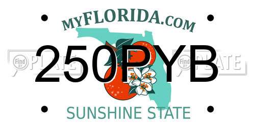 250PYB Florida License Plate