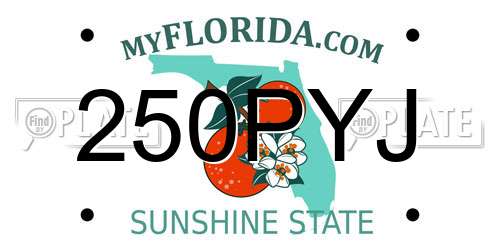 250PYJ Florida License Plate