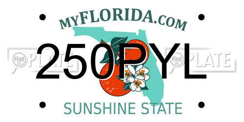 250PYL Florida License Plate