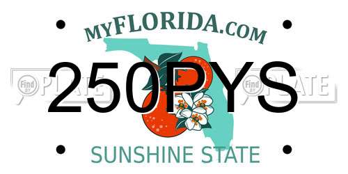 250PYS Florida License Plate