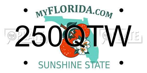 250QTW Florida License Plate