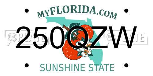 250QZW Florida License Plate