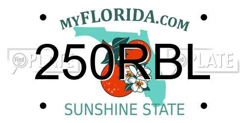 250RBL Florida License Plate