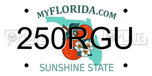 250RGU Florida License Plate