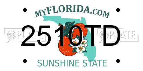2510TD Florida License Plate