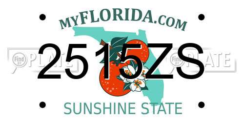 2515ZS Florida License Plate