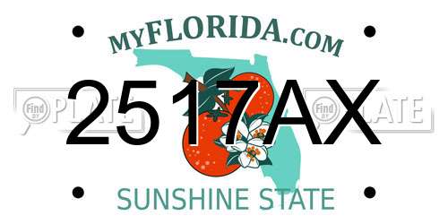 2517AX Florida License Plate
