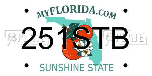 251STB Florida License Plate