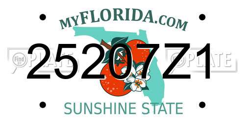 25207Z1 Florida License Plate