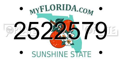 2522579 Florida License Plate