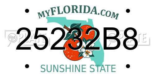 25232B8 Florida License Plate
