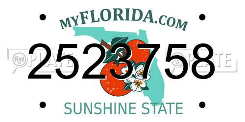 2523758 Florida License Plate