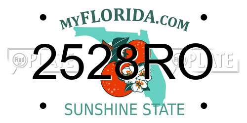 2528RO Florida License Plate