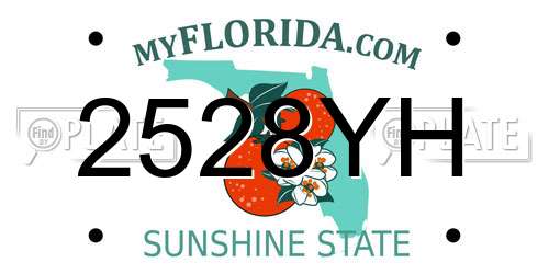 2528YH Florida License Plate