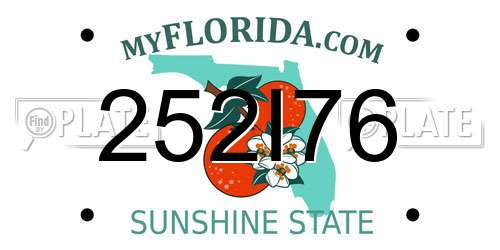 252I76 Florida License Plate