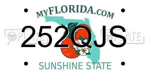 252QJS Florida License Plate