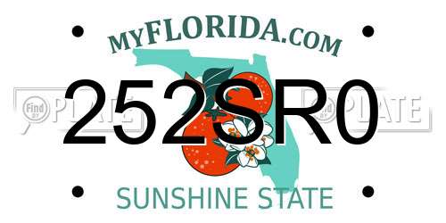 252SR0 Florida License Plate