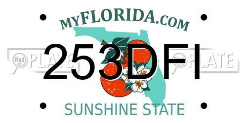 253DFI Florida License Plate