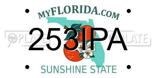 253IPA Florida License Plate