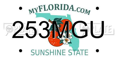 253MGU Florida License Plate