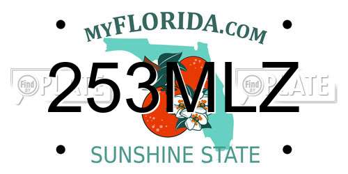 253MLZ Florida License Plate