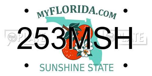 253MSH Florida License Plate