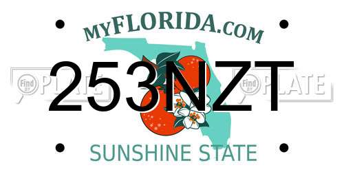 253NZT Florida License Plate