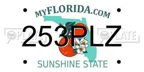 253PLZ Florida License Plate