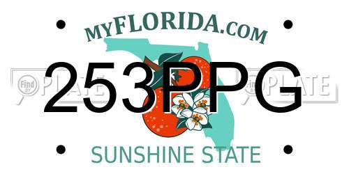 253PPG Florida License Plate