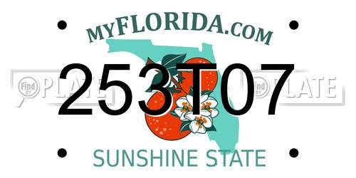 253T07 Florida License Plate