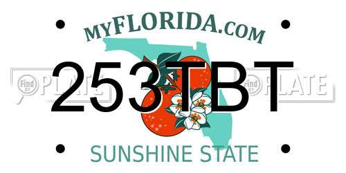 253TBT Florida License Plate