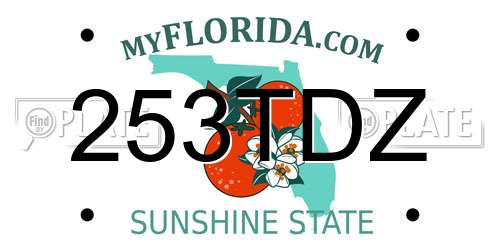 253TDZ Florida License Plate