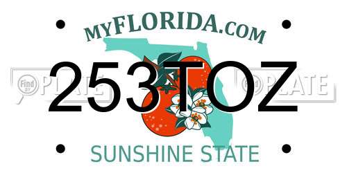 253TOZ Florida License Plate