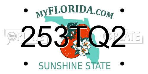 253TQ2 Florida License Plate