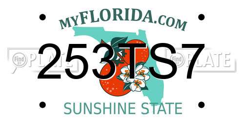253TS7 Florida License Plate