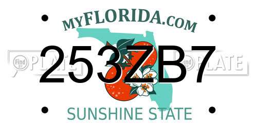 253ZB7 Florida License Plate