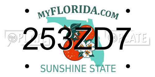 253ZD7 Florida License Plate