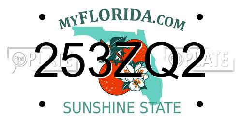 253ZQ2 Florida License Plate