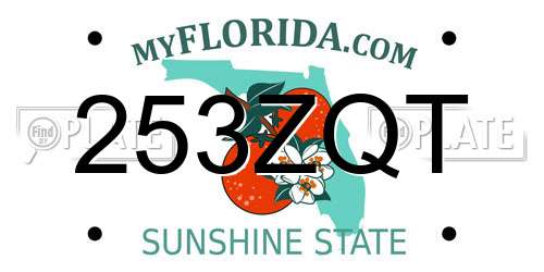 253ZQT Florida License Plate