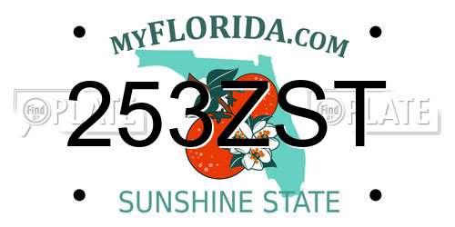 253ZST Florida License Plate