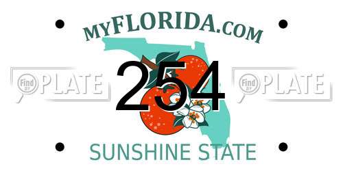 254 Florida License Plate