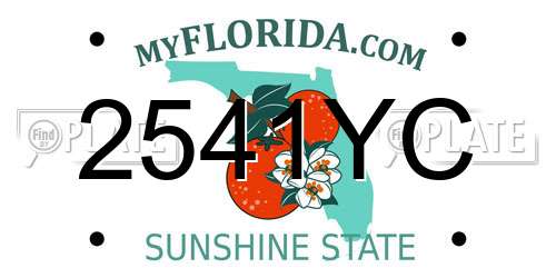 2541YC Florida License Plate