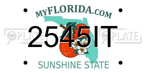 2545IT Florida License Plate