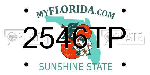 2546TP Florida License Plate