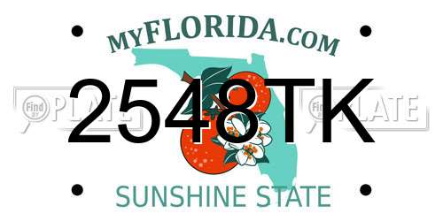 2548TK Florida License Plate