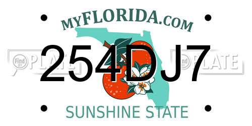 254DJ7 Florida License Plate