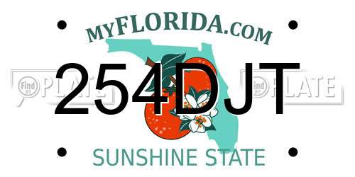 254DJT Florida License Plate