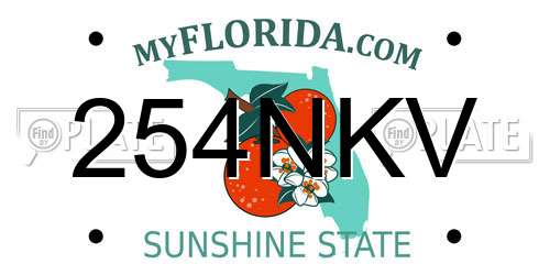 254NKV Florida License Plate